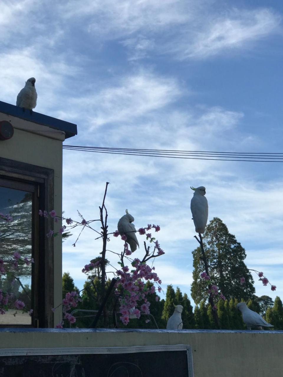 The Clarendon Motel Katoomba Exterior foto