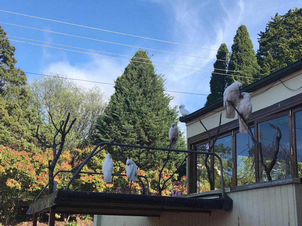 The Clarendon Motel Katoomba Exterior foto